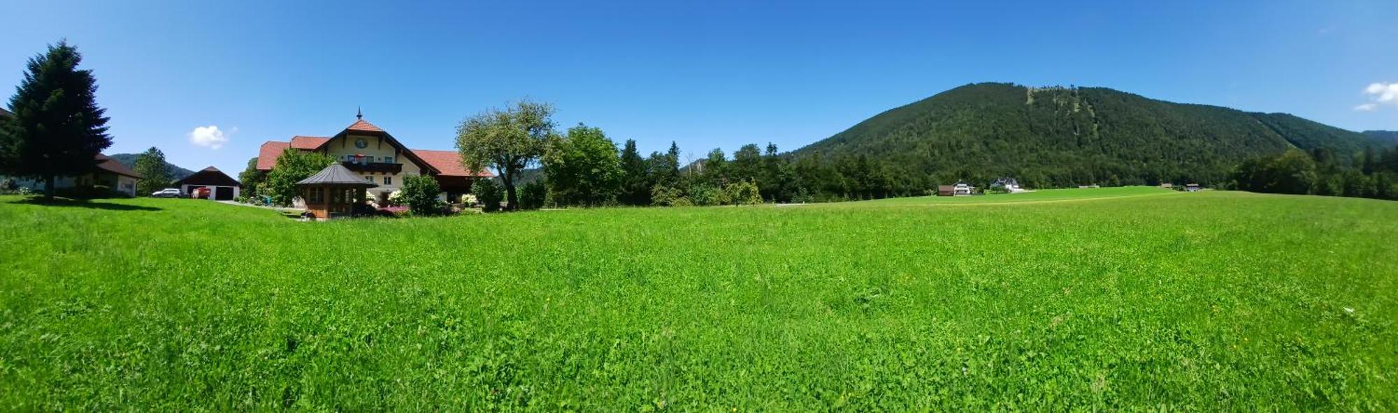 Vordergschwandtgut Lägenhet Faistenau Exteriör bild