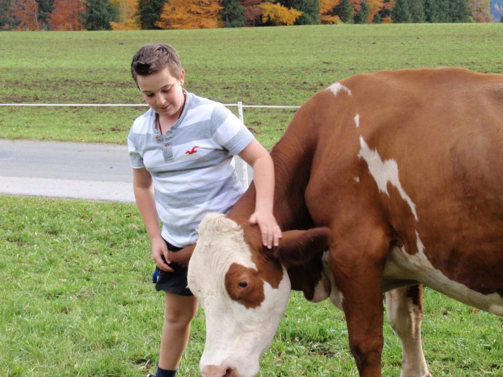 Vordergschwandtgut Lägenhet Faistenau Exteriör bild